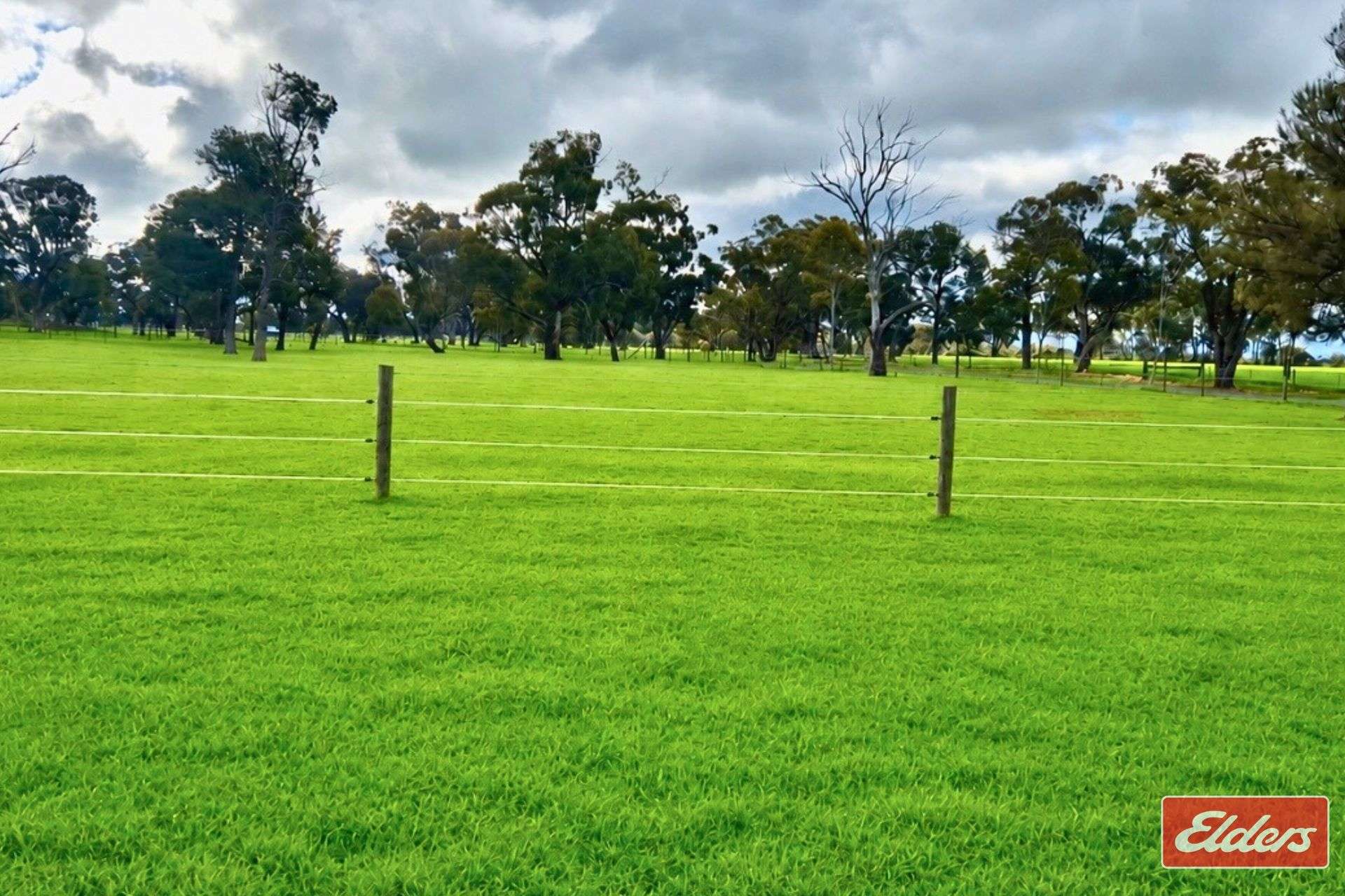 937 Ham Road, Moama For Sale by Farmbuy.com - image 7