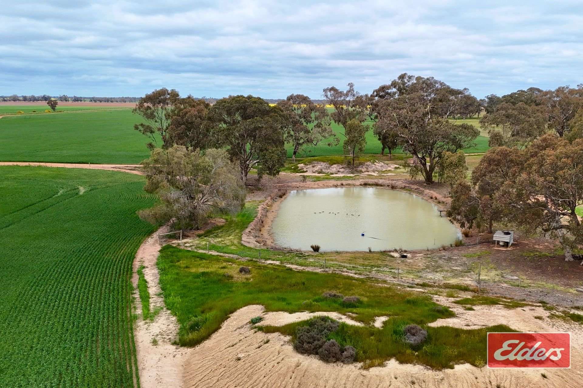 937 Ham Road, Moama For Sale by Farmbuy.com - image 11