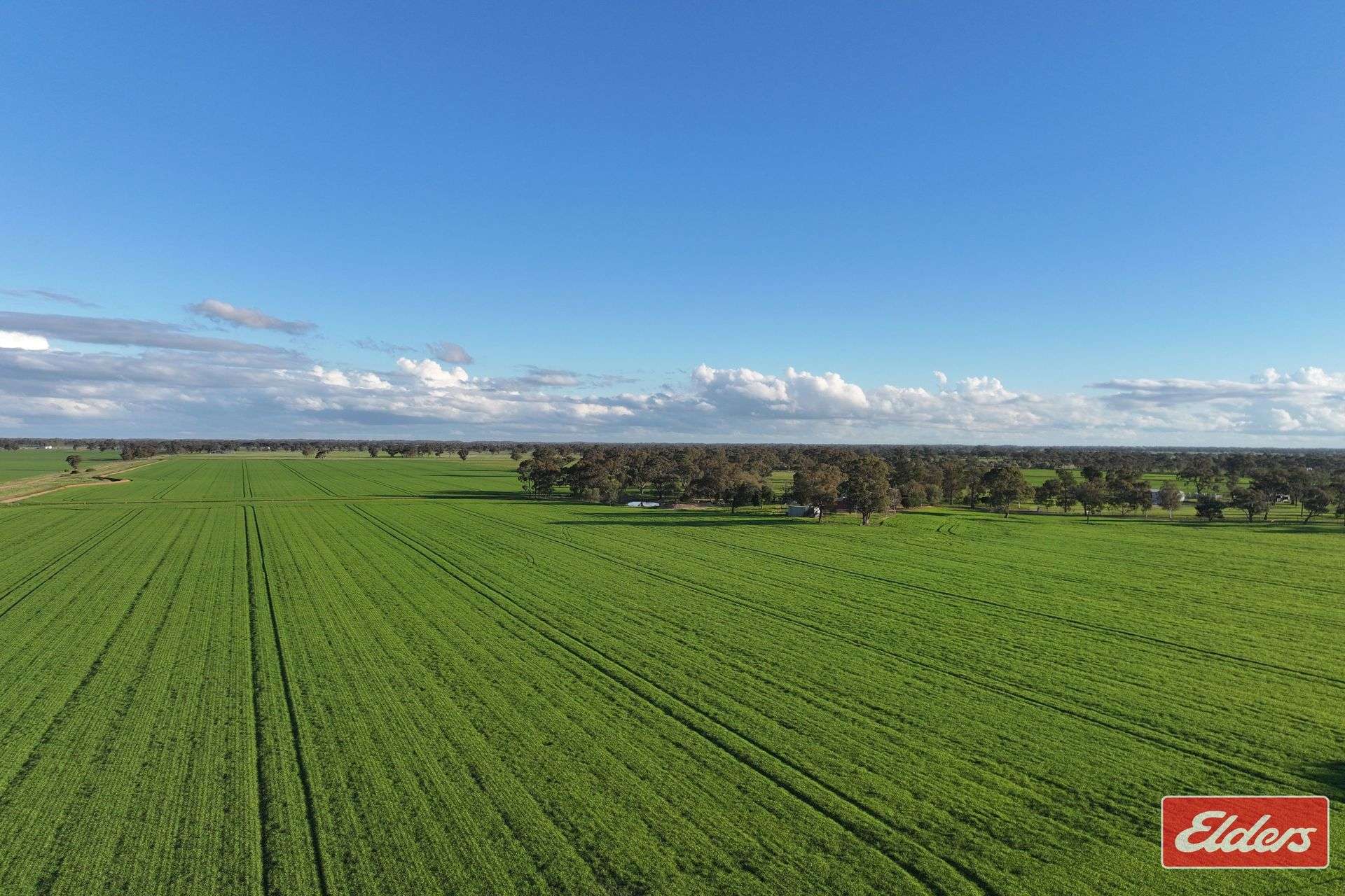 937 Ham Road, Moama For Sale by Farmbuy.com - image 3