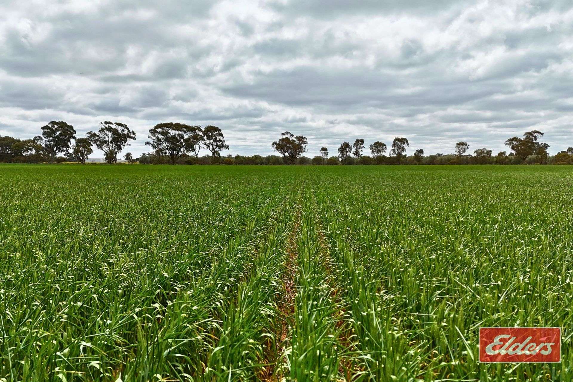 937 Ham Road, Moama For Sale by Farmbuy.com - image 2