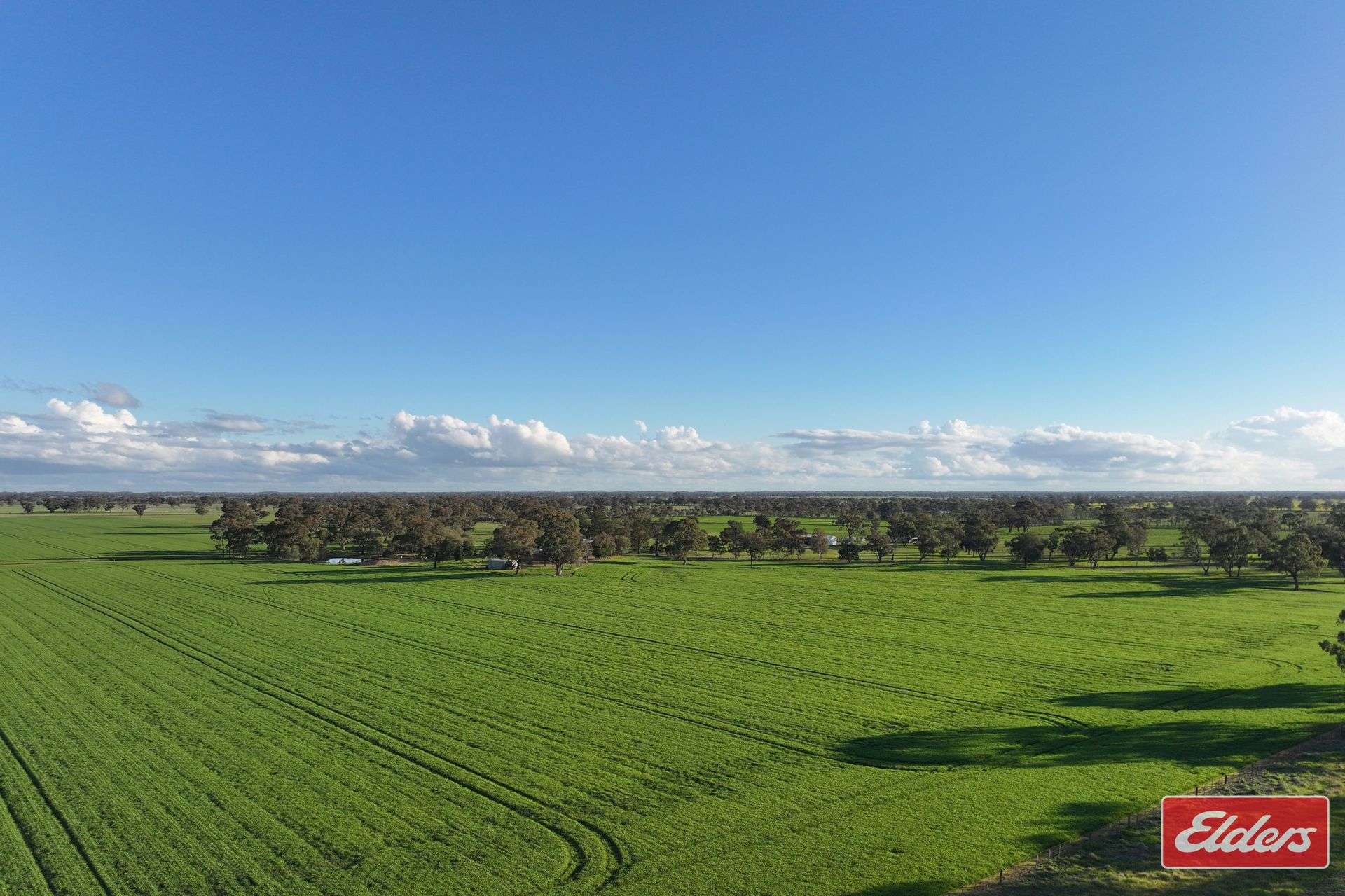 937 Ham Road, Moama For Sale by Farmbuy.com - image 4