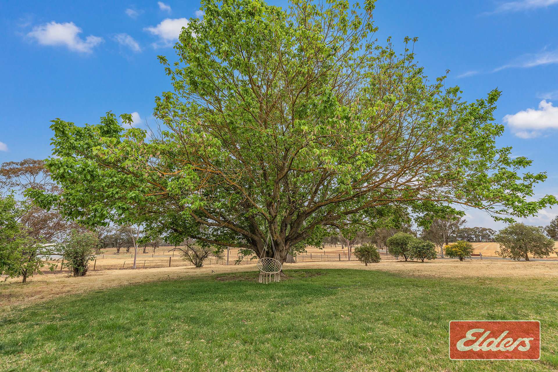 937 Ham Road, Moama For Sale by Farmbuy.com - image 31