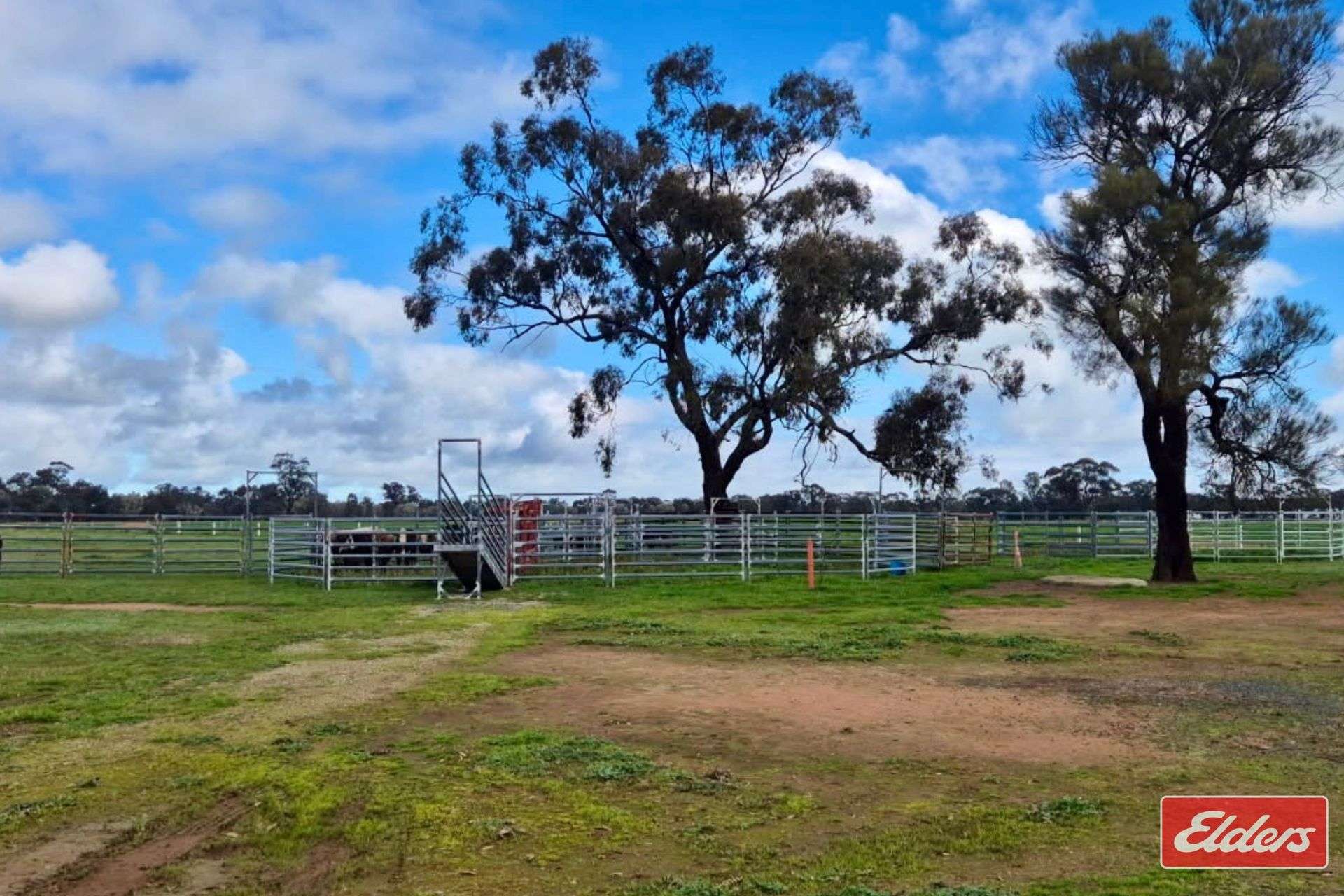 937 Ham Road, Moama For Sale by Farmbuy.com - image 5
