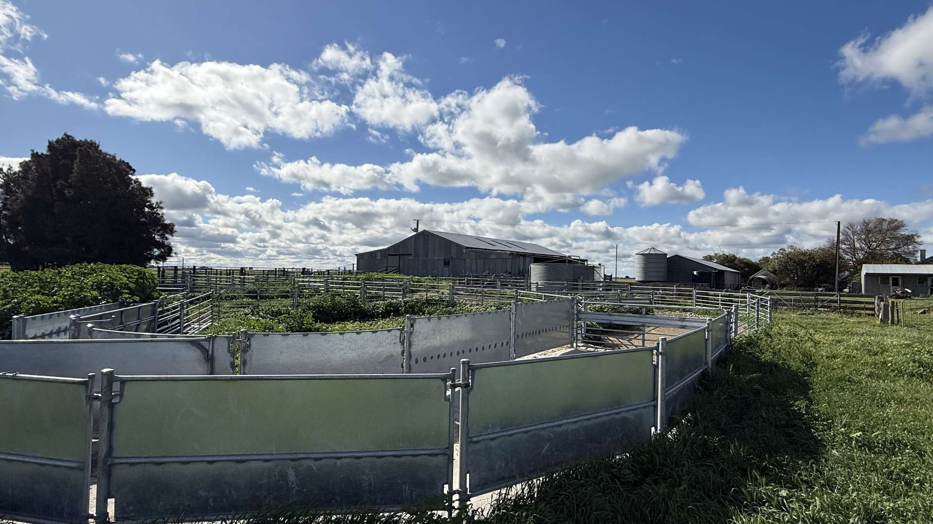 126 Shuards Lane, Lochaber Sold by Farmbuy.com - image 20
