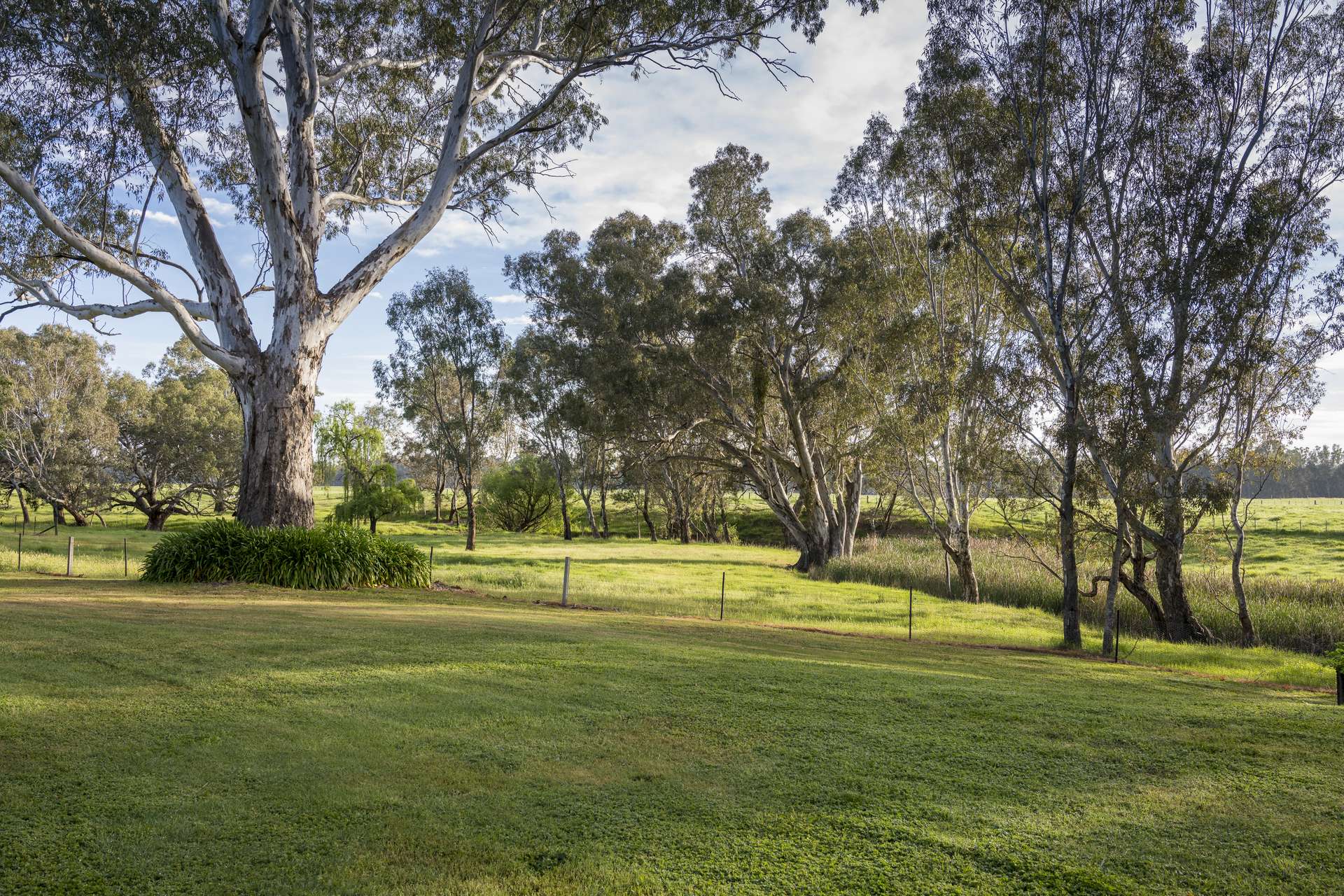 1135 Mansfield Road, Benalla Sold by Farmbuy.com - image 17