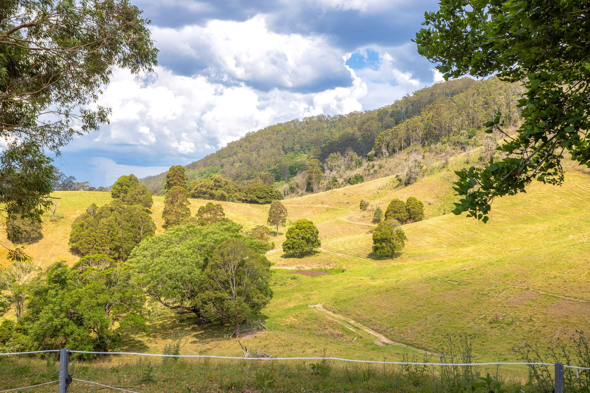 129 Days Road, Belbora Sold by Farmbuy.com - image 30