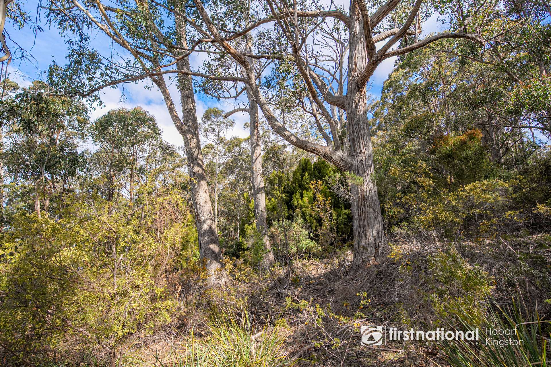 Krauses Road, Lower Longley For Sale by Farmbuy.com - image 20
