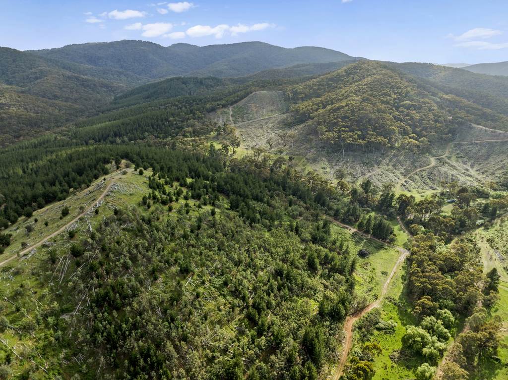 259 Hells Hole Creek Road, Bonnie Doon VIC 3720