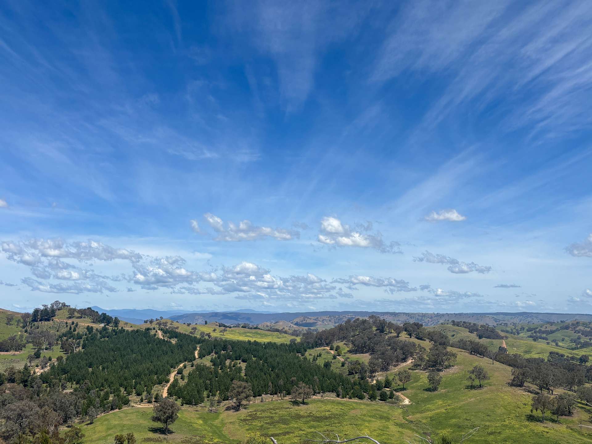 259 Hells Hole Creek Road, Bonnie Doon For Sale by Farmbuy.com - image 3