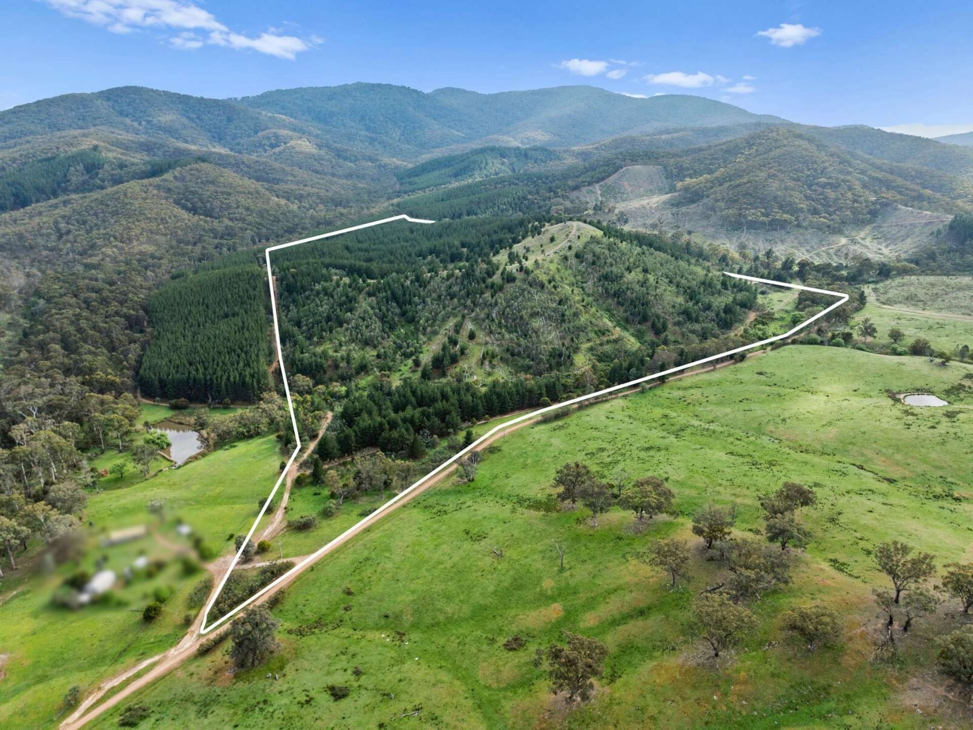259 Hells Hole Creek Road, Bonnie Doon For Sale by Farmbuy.com - image 4