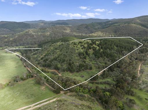 259 Hells Hole Creek Road, Bonnie Doon VIC 3720