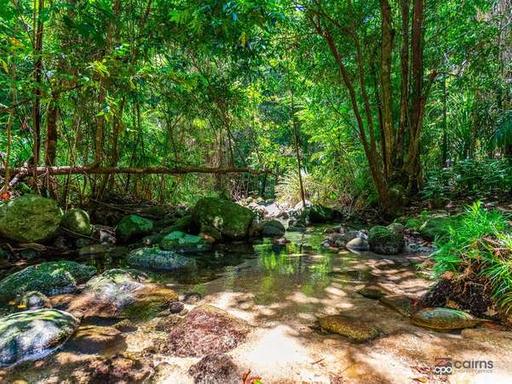 Farm Sold - QLD - Mirriwinni - 4871 - Paradise Found - 14.5 Acres, Fertile Land and Permanent Creek 