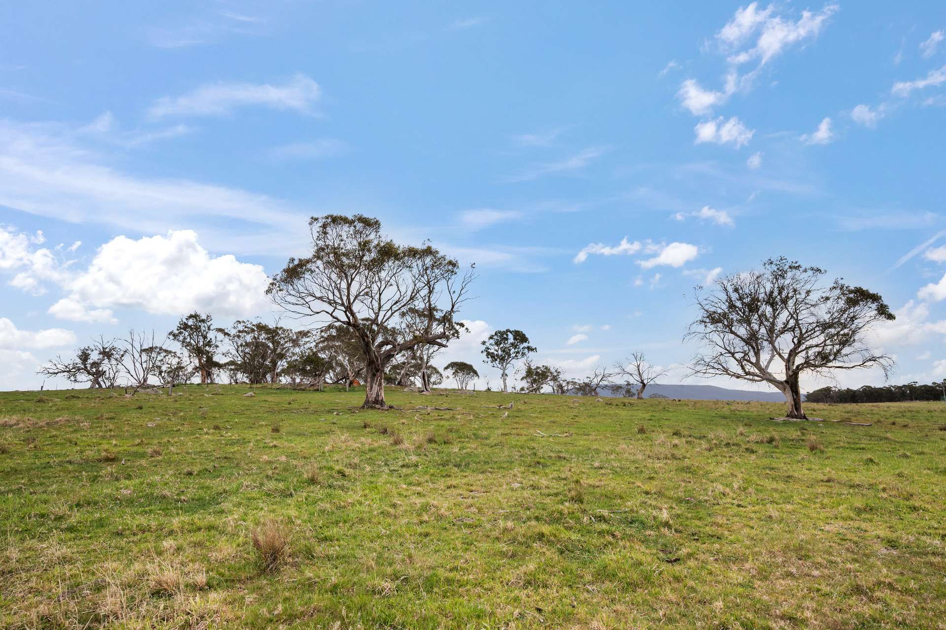 536 Cooma Road, Braidwood Sold by Farmbuy.com - image 21