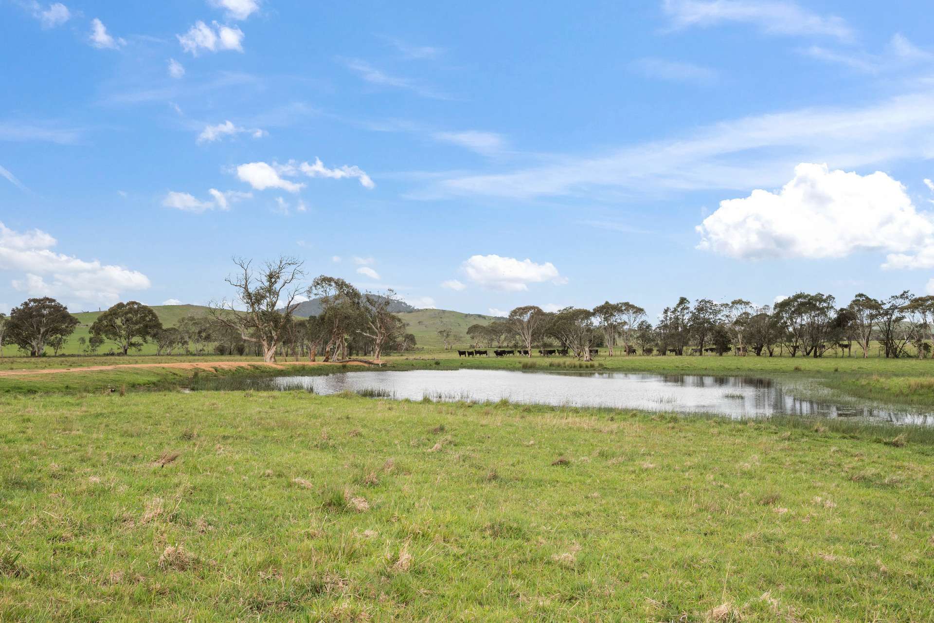 536 Cooma Road, Braidwood Sold by Farmbuy.com - image 24