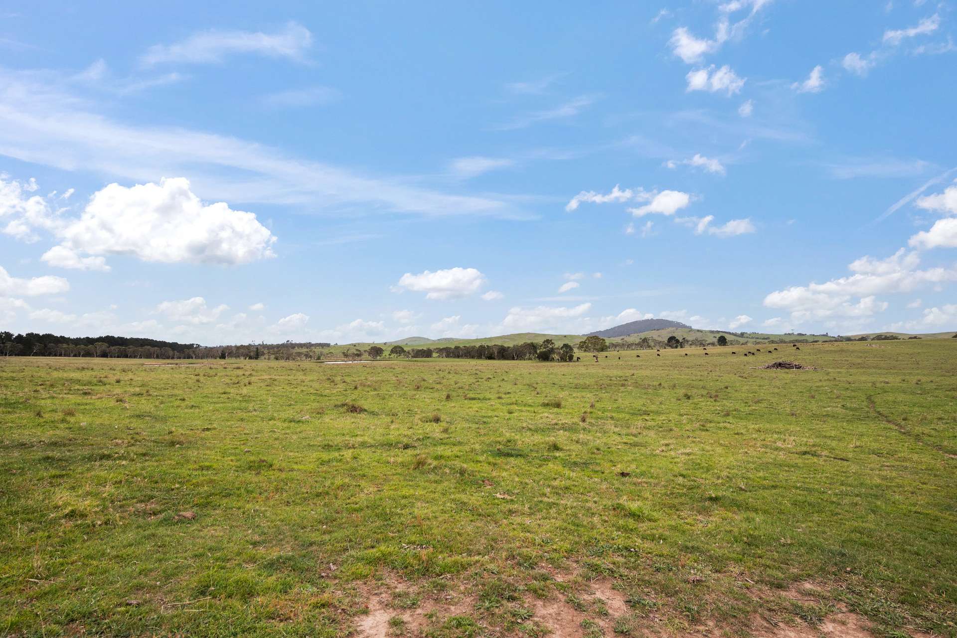536 Cooma Road, Braidwood Sold by Farmbuy.com - image 20