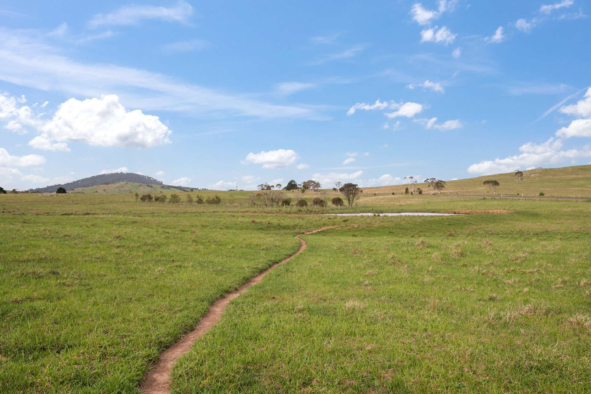 536 Cooma Road, Braidwood Sold by Farmbuy.com - image 19
