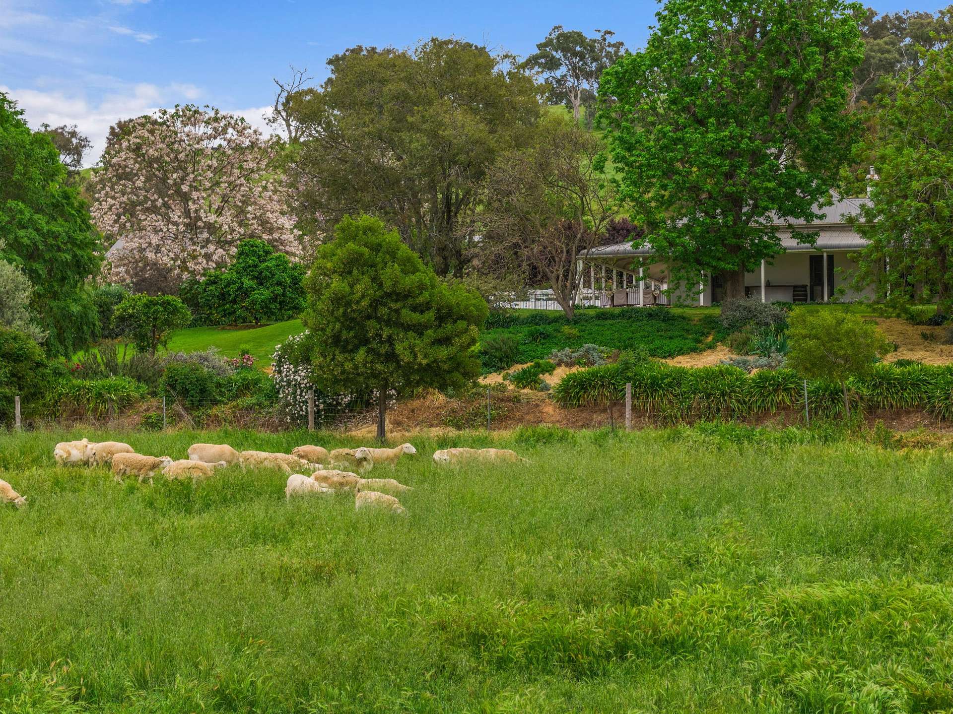 "Nargoon" 554 Nangus Road, Gundagai Sold by Farmbuy.com - image 31