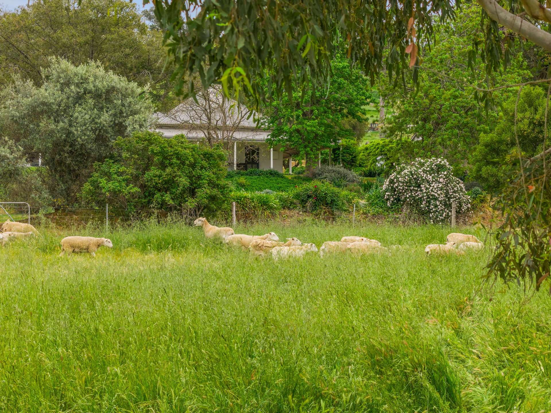 "Nargoon" 554 Nangus Road, Gundagai Sold by Farmbuy.com - image 30