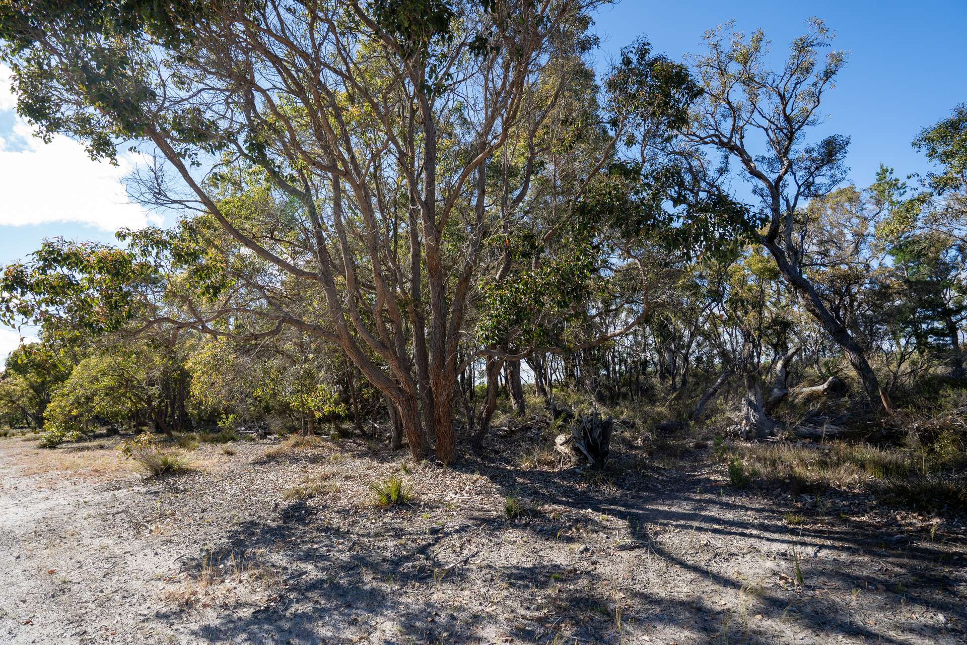 1414 Takenup Road, Napier Sold by Farmbuy.com - image 17