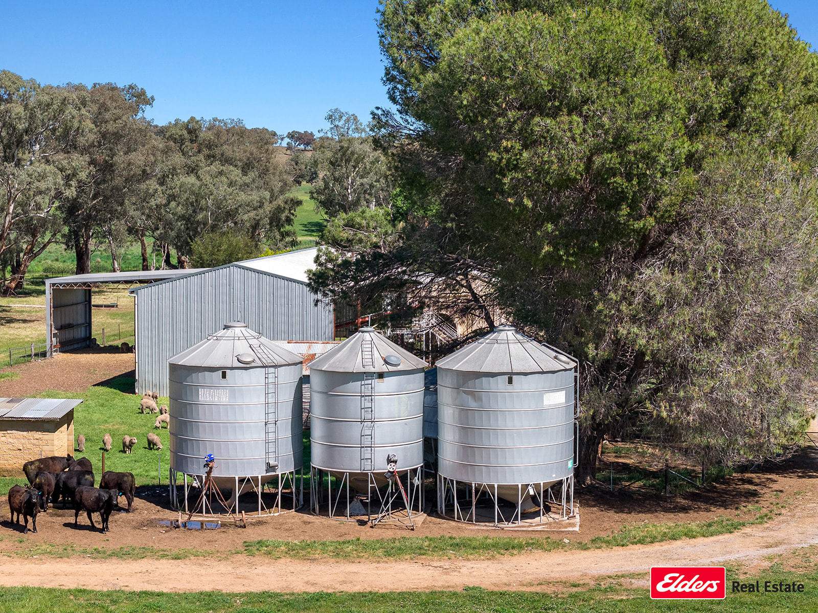 3809 Belubula Way, Canowindra Sold by Farmbuy.com - image 10