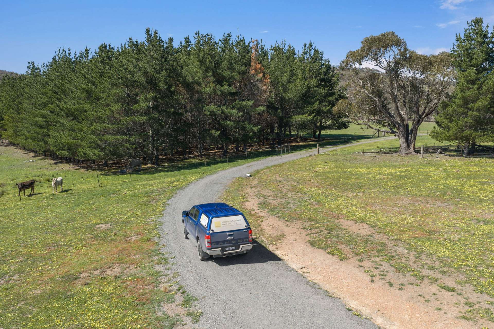"Four Points Farm" Berrebangelo Road, Yass River Sold by Farmbuy.com - image 17