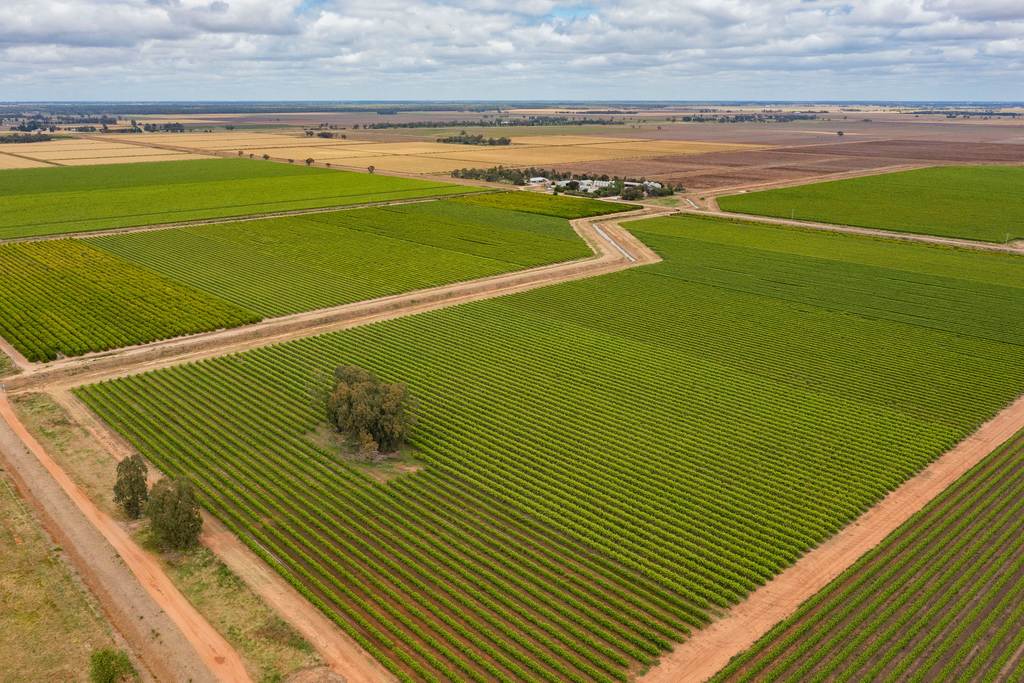 126 & 127 Yate Road, Leeton NSW 2705