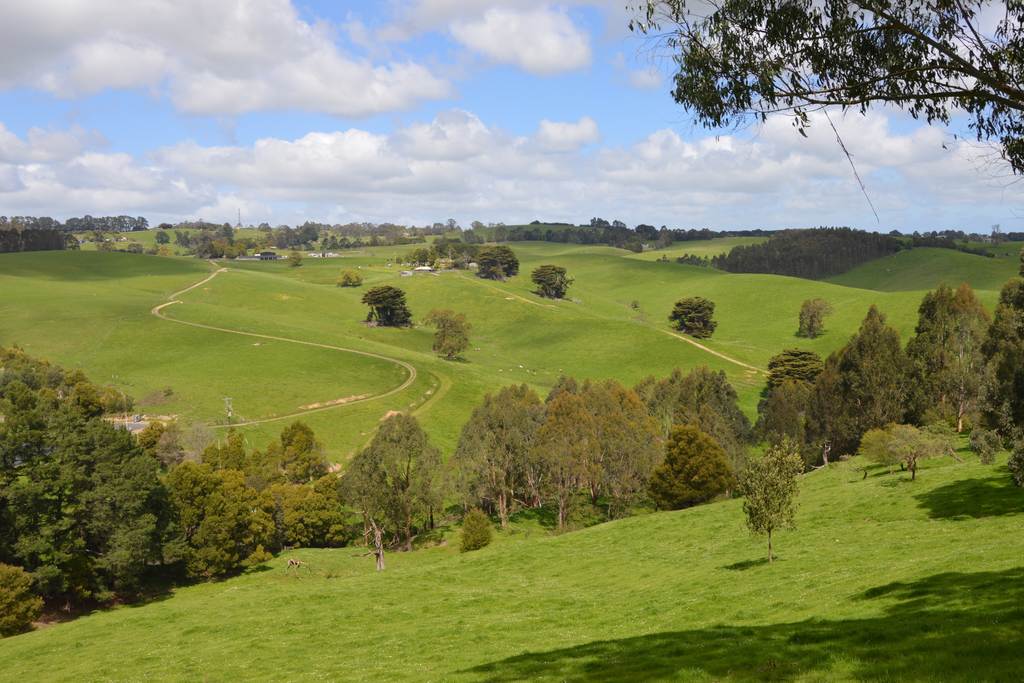 59 Bellview Lane, Korumburra VIC 3950