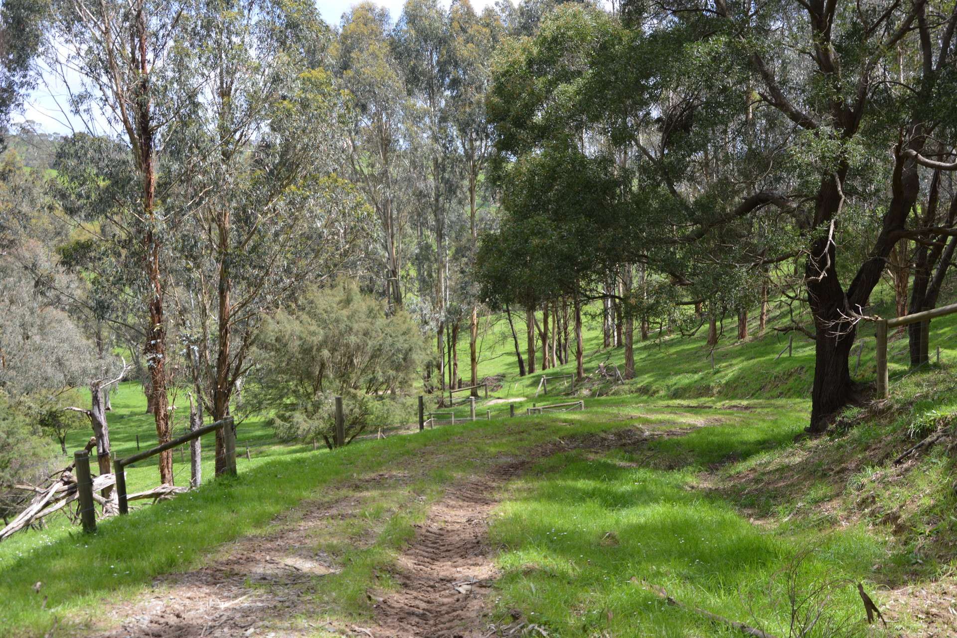 59 Bellview Lane, Korumburra For Sale by Farmbuy.com - image 31