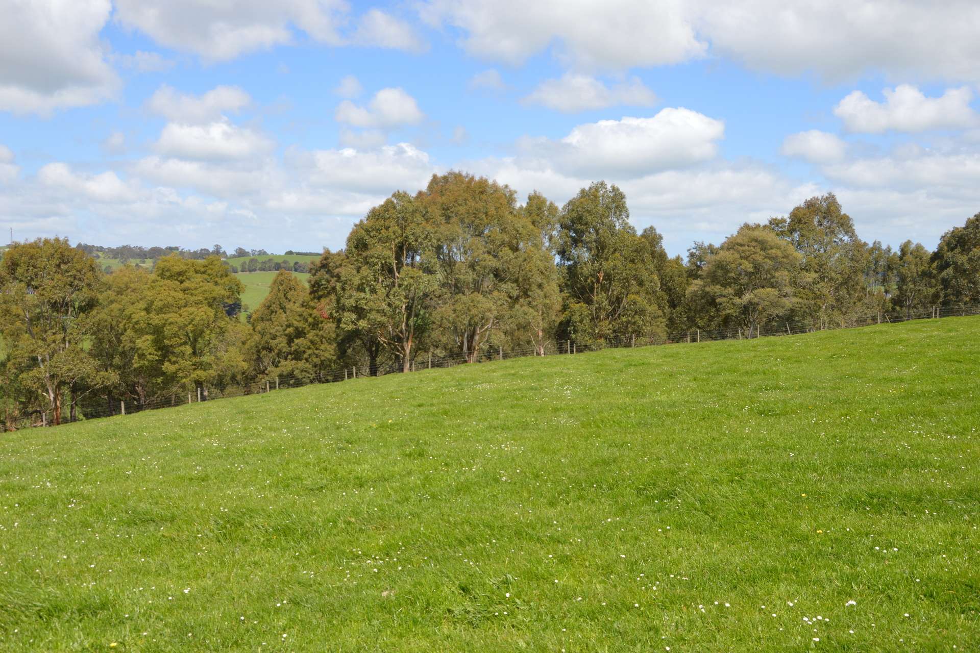 59 Bellview Lane, Korumburra For Sale by Farmbuy.com - image 29
