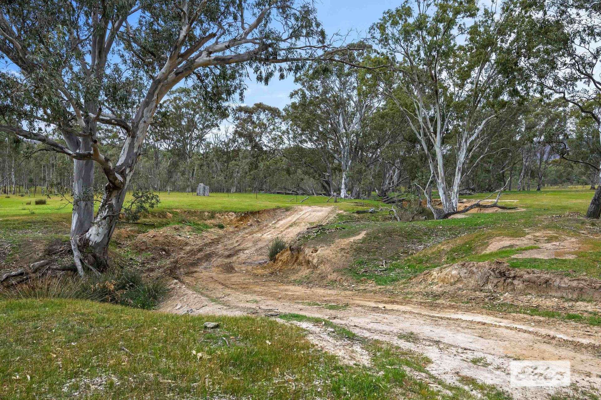 Lot 29 & 80,  Leslie Lane, Landsborough For Sale by Farmbuy.com - image 19