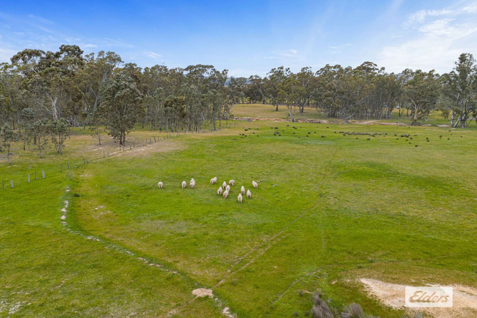 Lot 29 & 80,  Leslie Lane, Landsborough For Sale by Farmbuy.com - image 7
