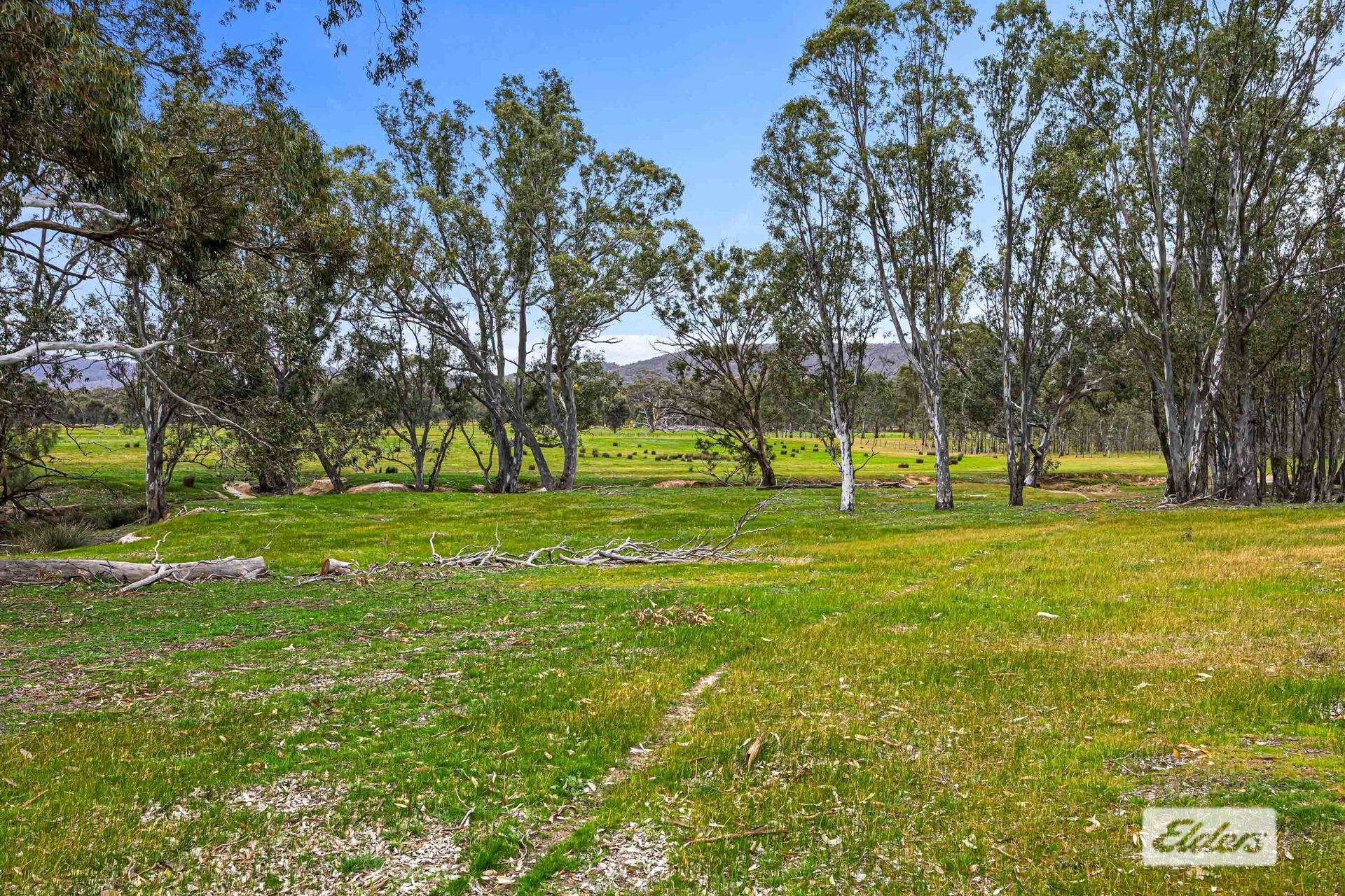 Lot 29 & 80,  Leslie Lane, Landsborough For Sale by Farmbuy.com - image 8