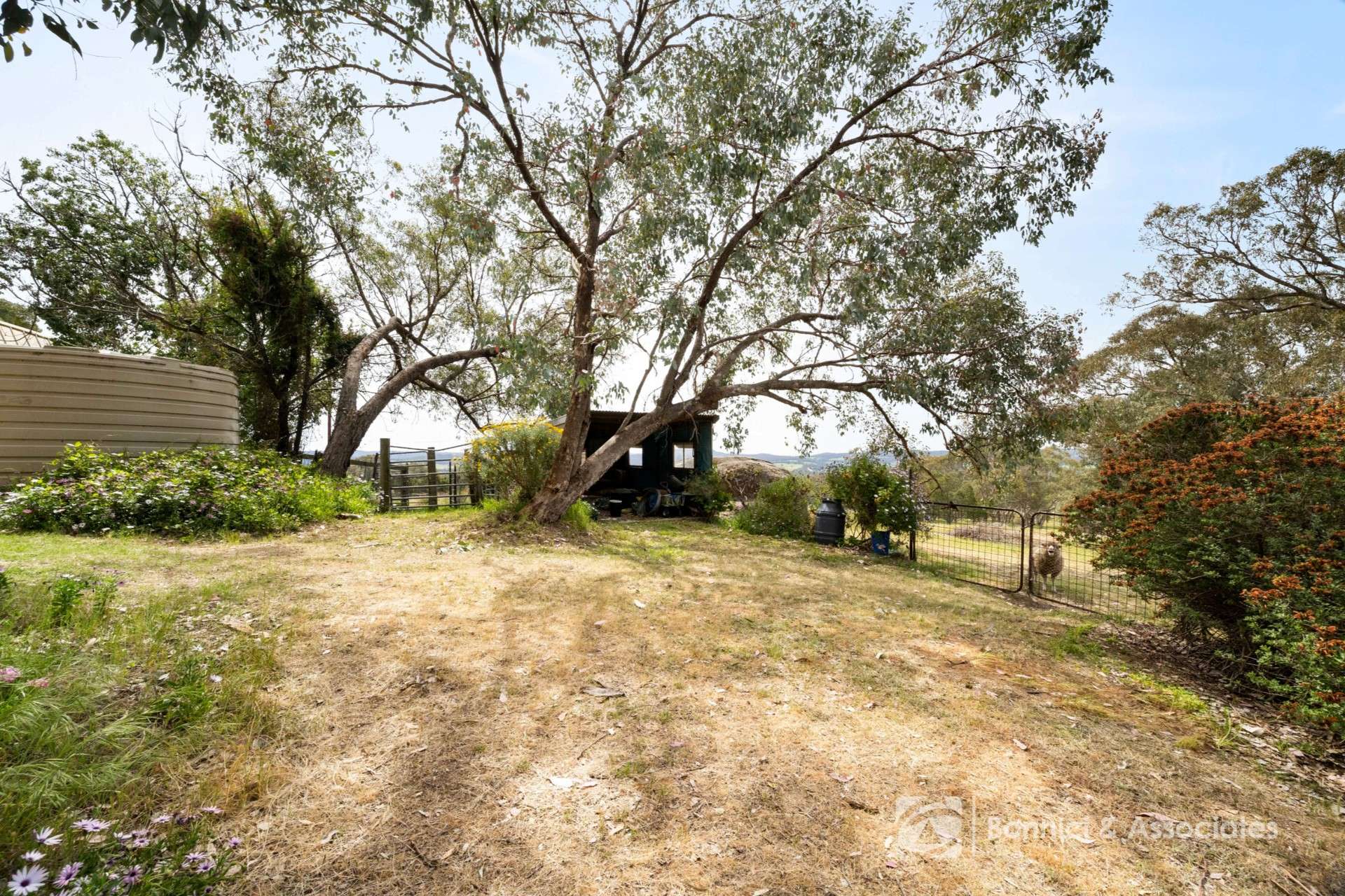 337 Beechworth-Wodonga Road, Beechworth Sold by Farmbuy.com - image 18