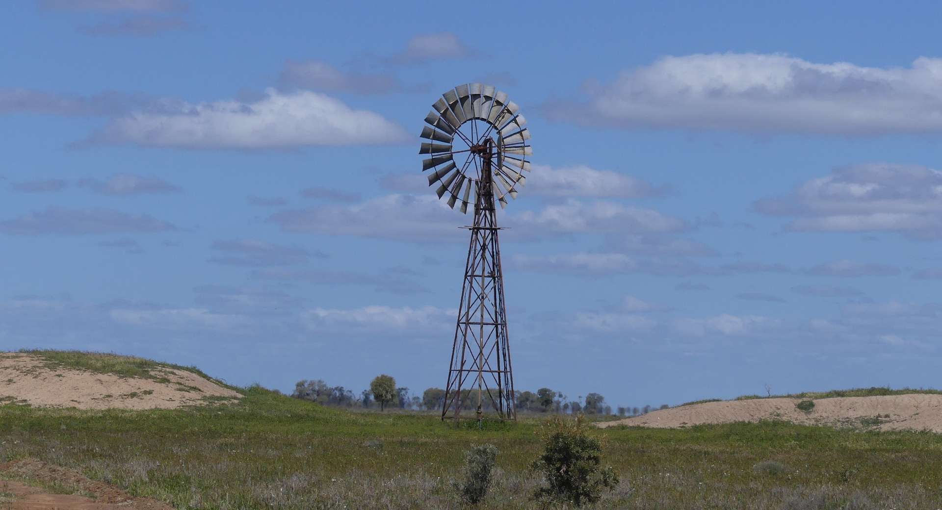 Warren Sold by Farmbuy.com - image 4