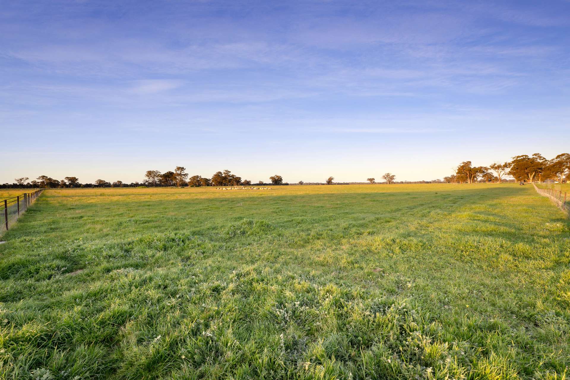 617 Police Paddocks Rd, Carlyle Sold by Farmbuy.com - image 31