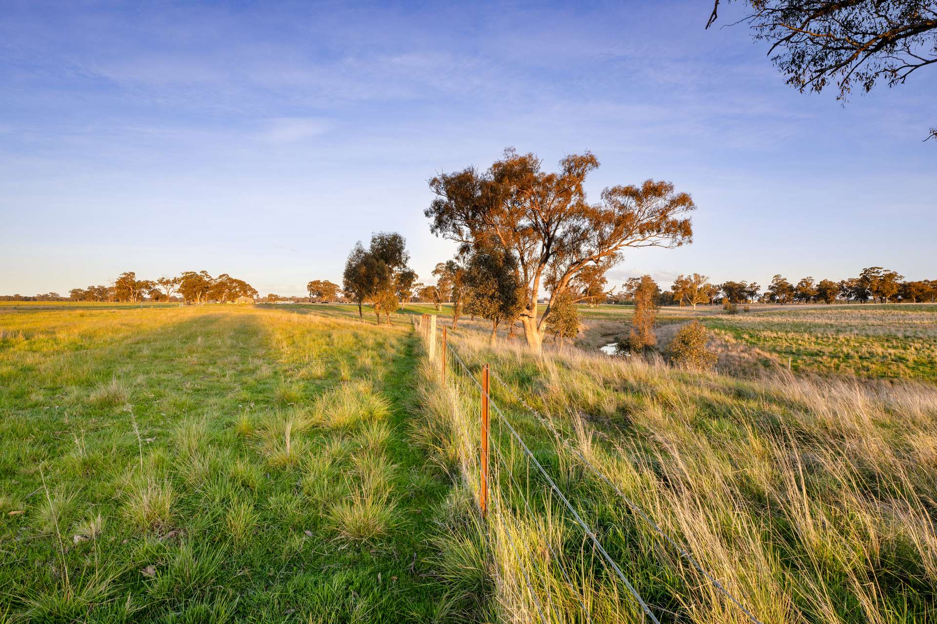 617 Police Paddocks Rd, Carlyle Sold by Farmbuy.com - image 33