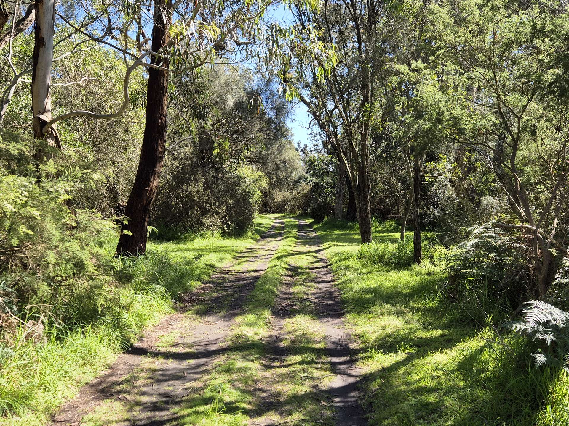 417 McBurnie And Boags Road, Tarwin Lower For Sale by Farmbuy.com - image 18