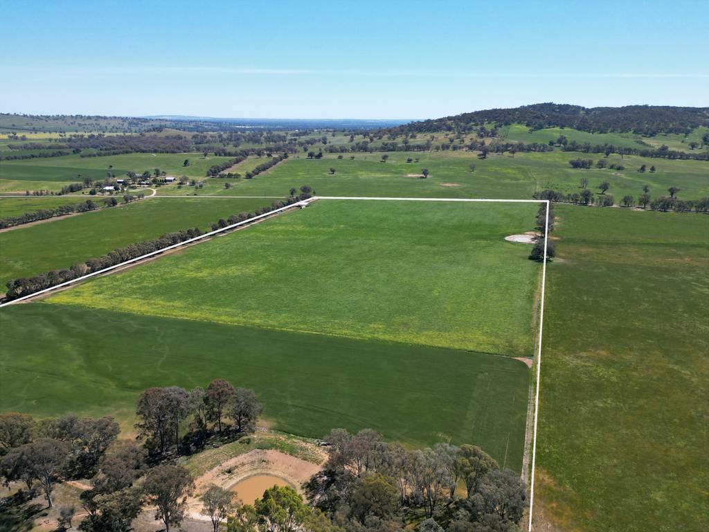 798 Bethel Road, Glenellen NSW 2642