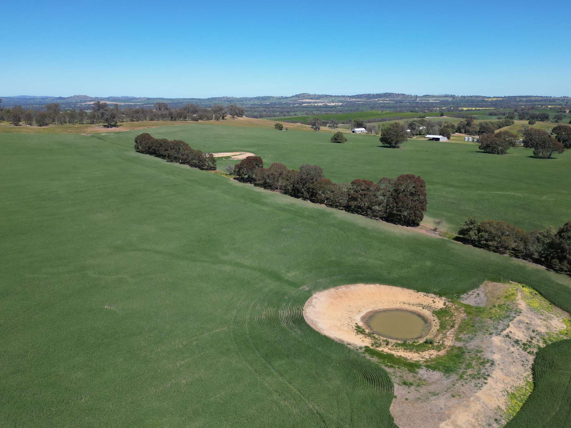 798 Bethel Road, Glenellen For Sale by Farmbuy.com - image 18