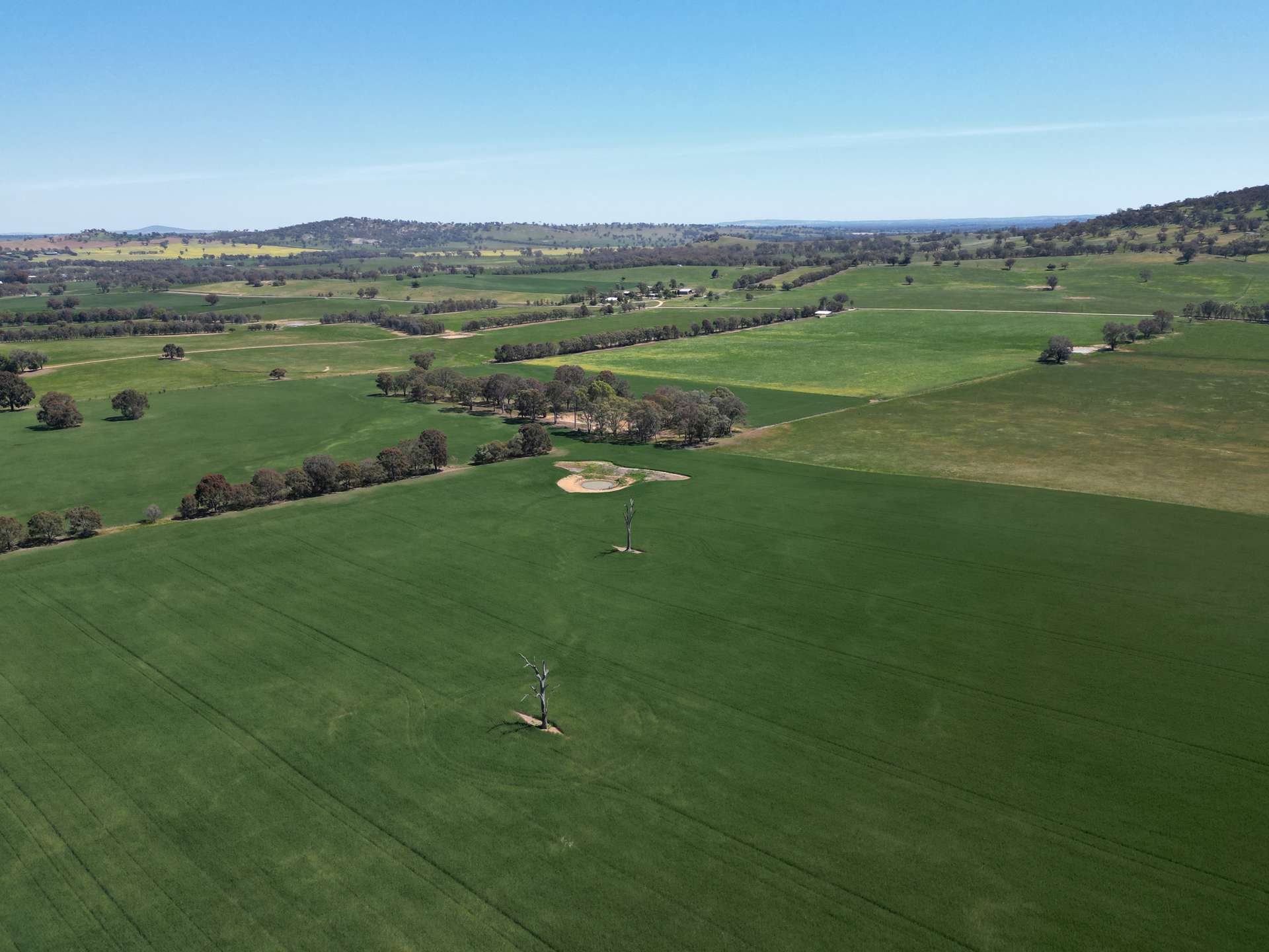 798 Bethel Road, Glenellen For Sale by Farmbuy.com - image 15