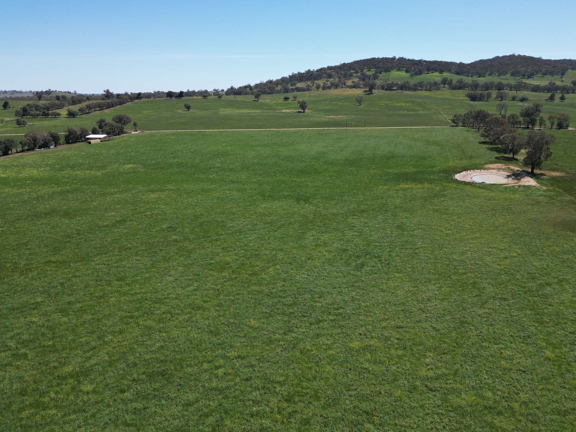 798 Bethel Road, Glenellen For Sale by Farmbuy.com - image 20