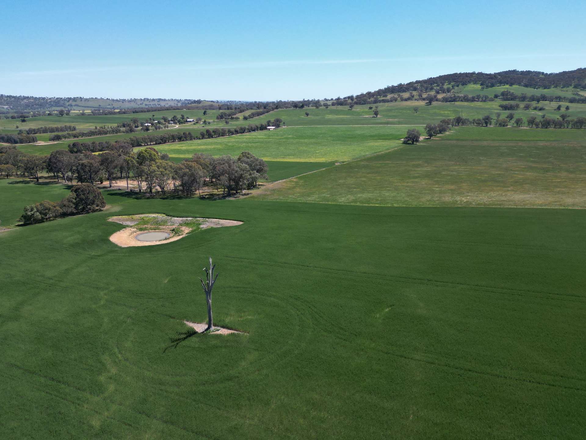 798 Bethel Road, Glenellen For Sale by Farmbuy.com - image 17
