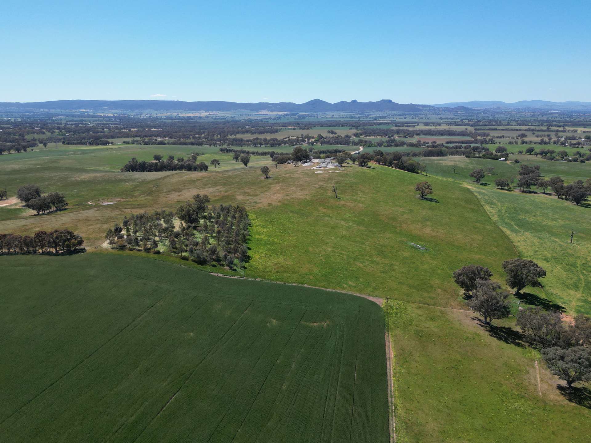 798 Bethel Road, Glenellen For Sale by Farmbuy.com - image 14