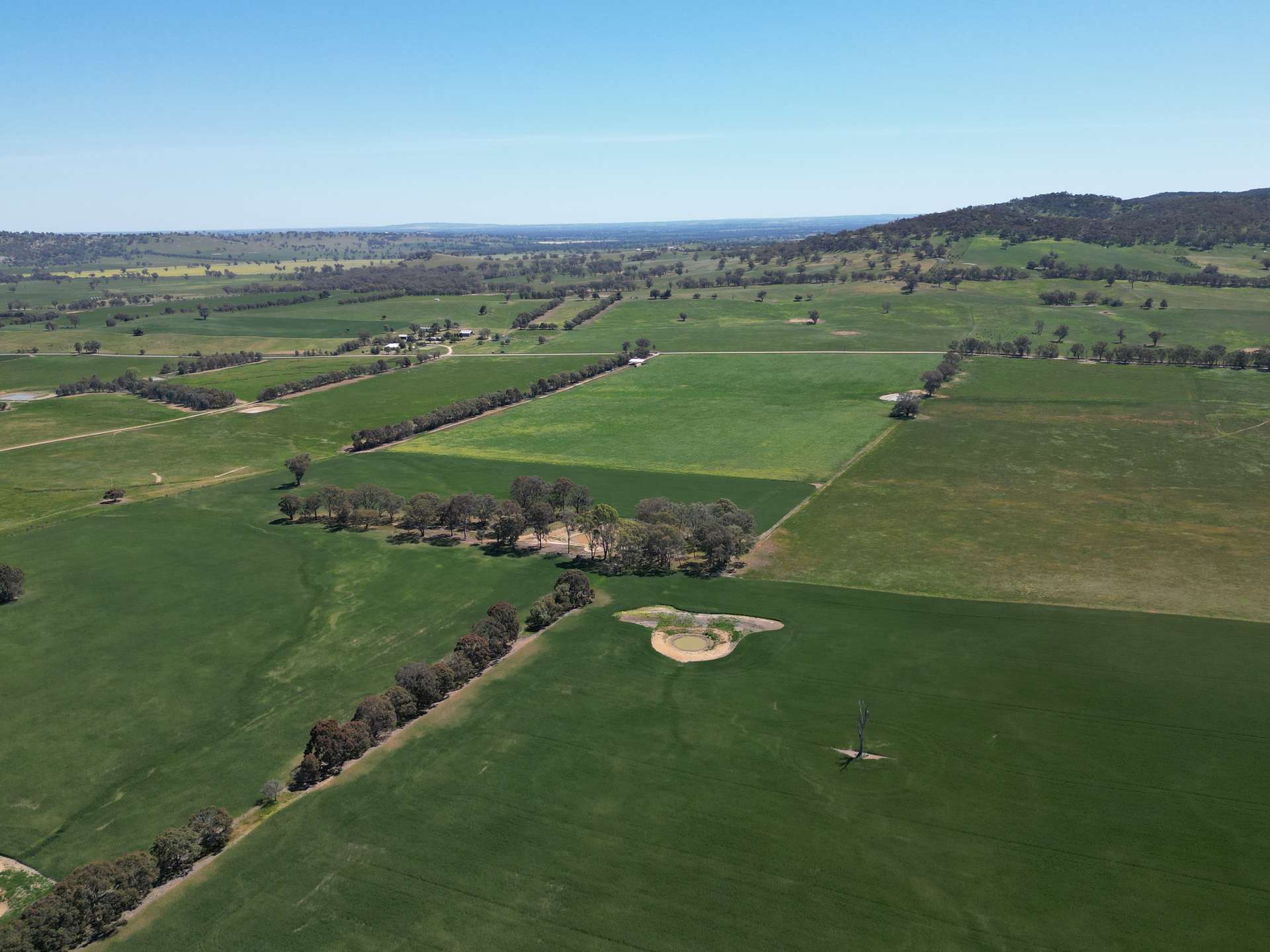 798 Bethel Road, Glenellen For Sale by Farmbuy.com - image 16