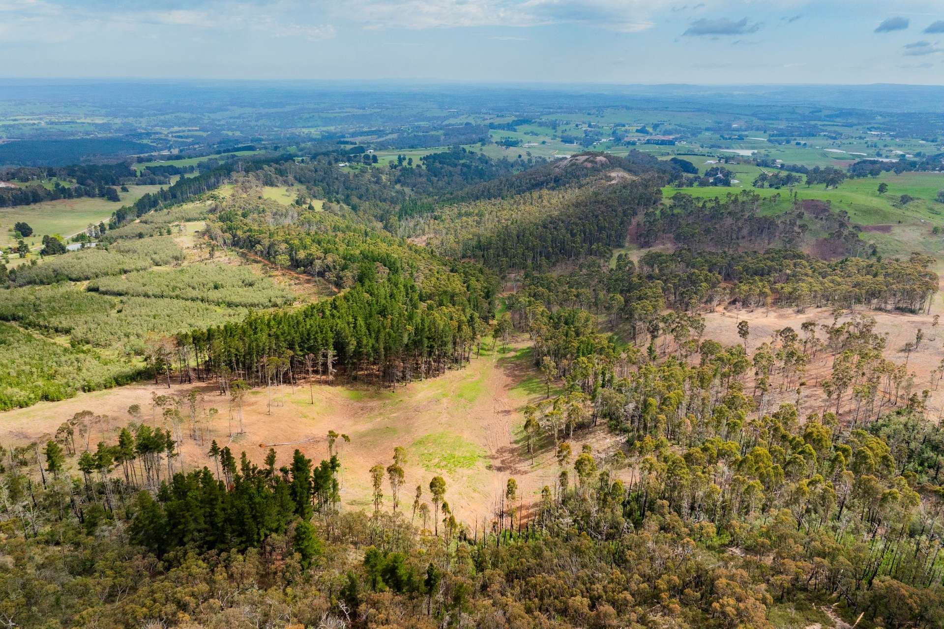 1606 Mount Canobolas Road, Orange NSW, Orange For Sale by Farmbuy.com - image 9