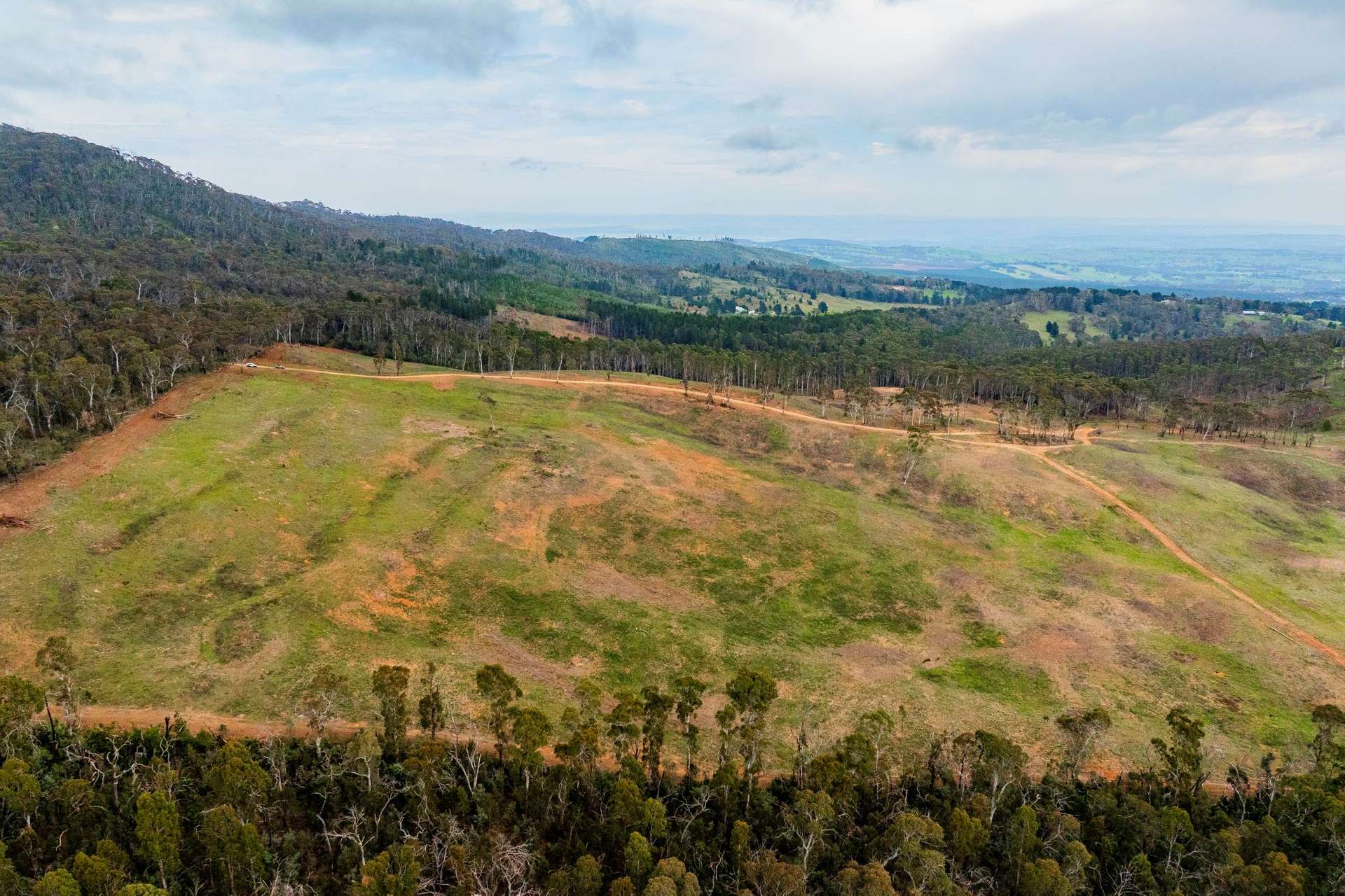 1606 Mount Canobolas Road, Orange NSW, Orange For Sale by Farmbuy.com - image 3