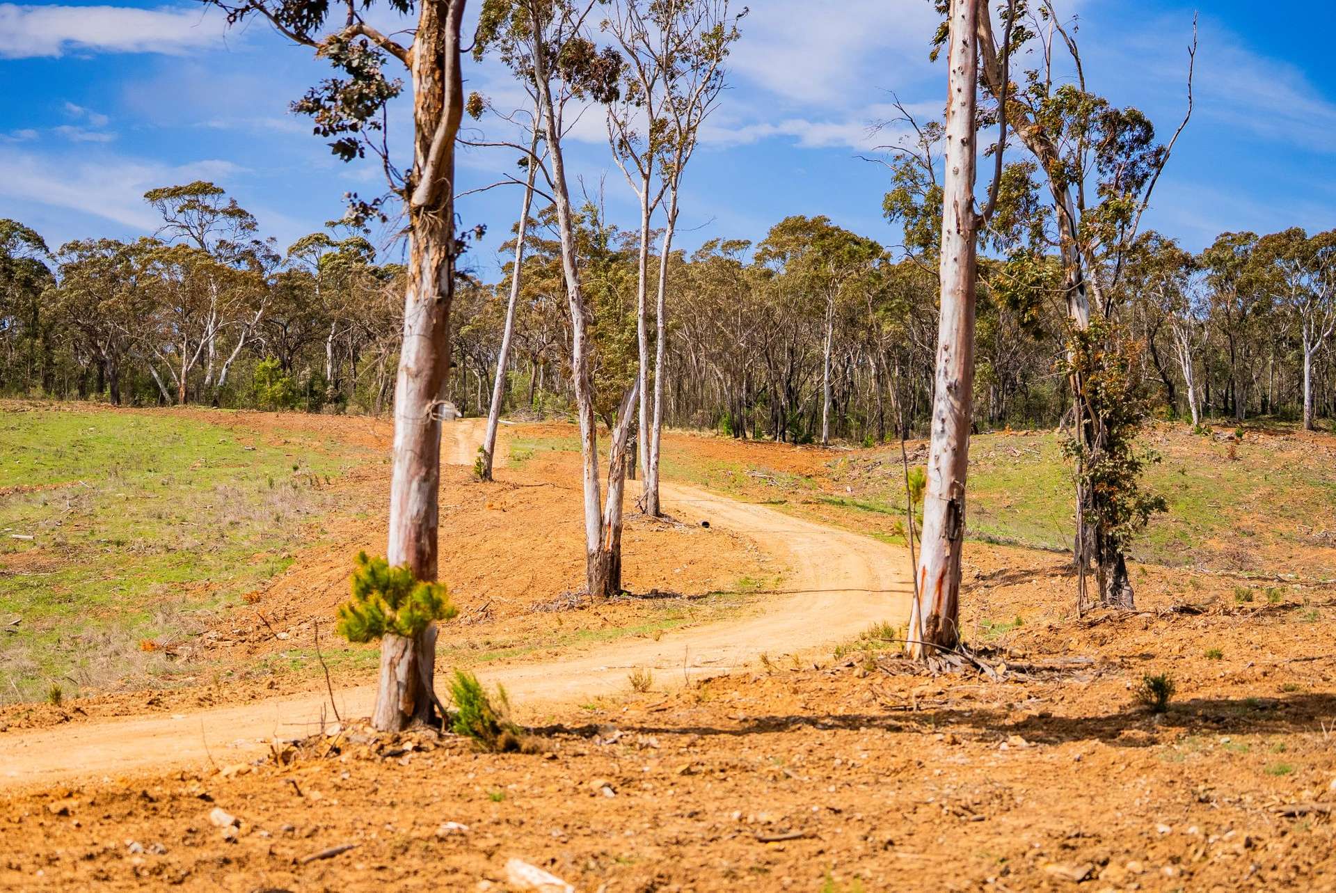 1606 Mount Canobolas Road, Orange NSW, Orange For Sale by Farmbuy.com - image 11