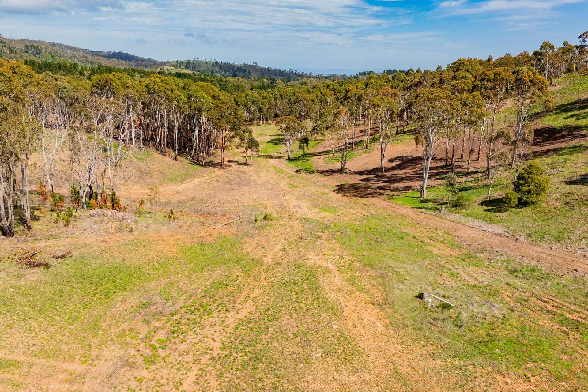 1606 Mount Canobolas Road, Orange NSW, Orange For Sale by Farmbuy.com - image 10