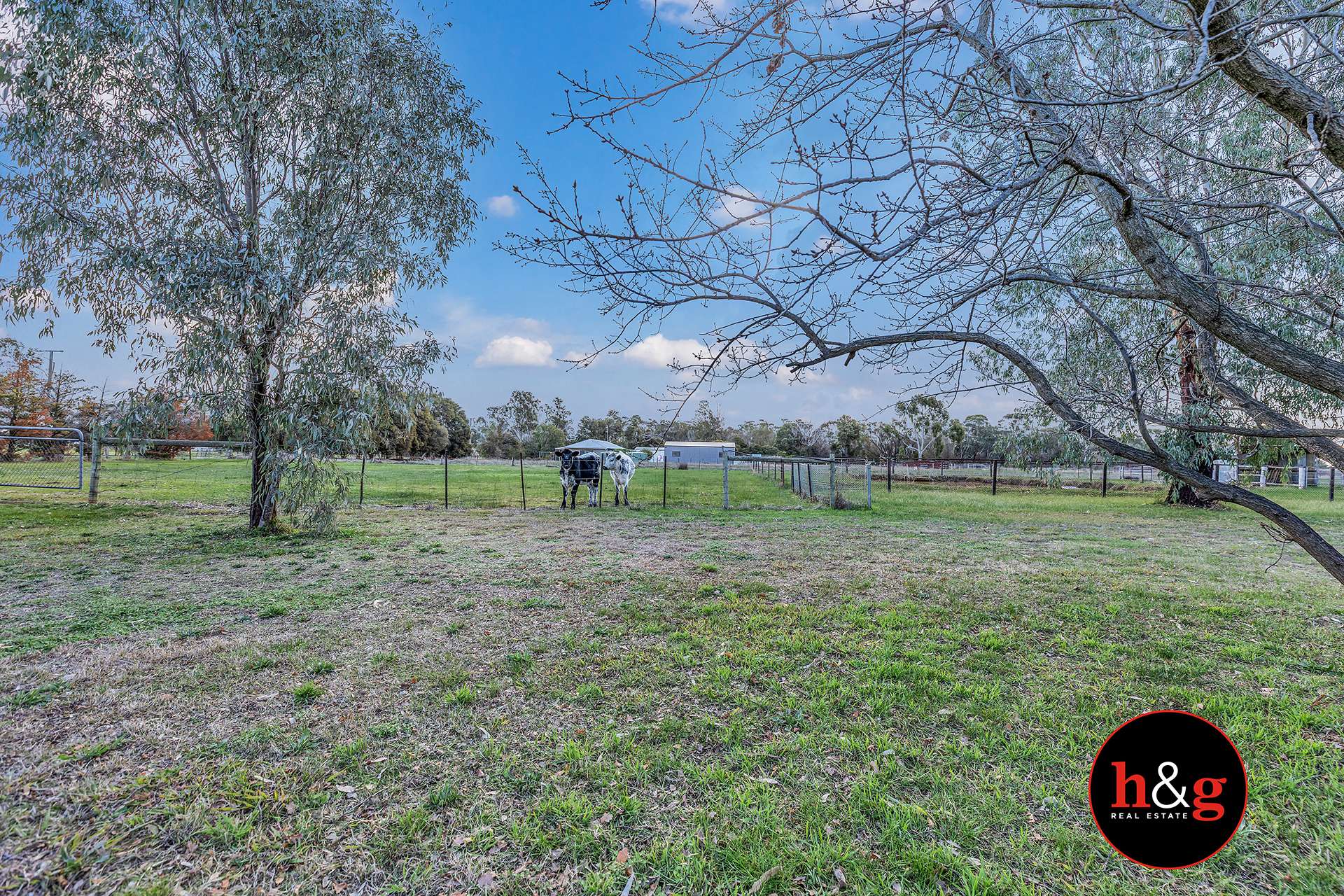 55 Cruse Road, Cooma For Sale by Farmbuy.com - image 24