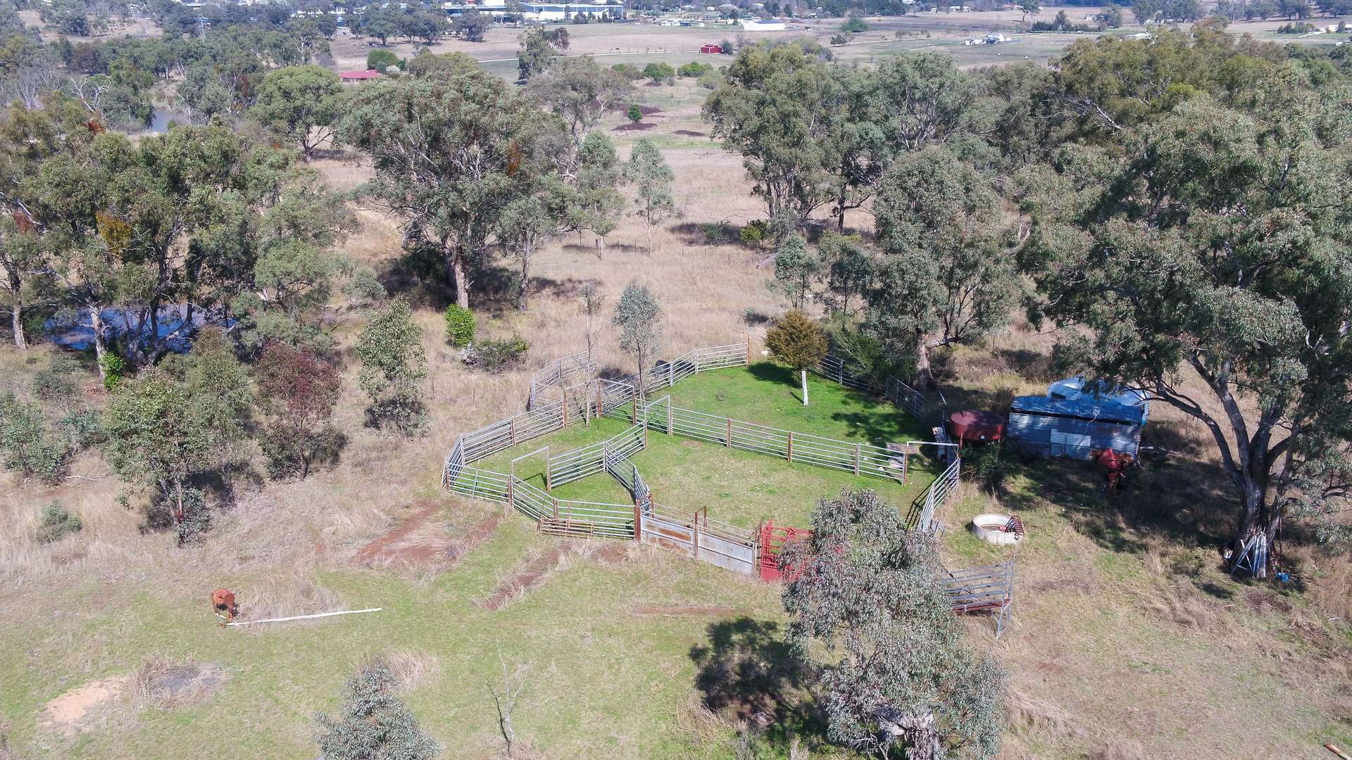 88 Toms Dr, Inverell For Sale by Farmbuy.com - image 26